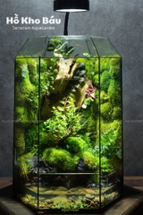 Terrarium 288 - Hồ Kho Báu