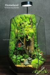 Terrarium 327 - Homeland