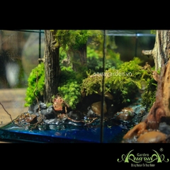 Terrarium 03 - HOMETURE
