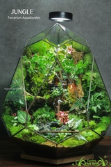 Terrarium 325 - JUNGLE