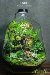 Terrarium 325 - JUNGLE