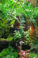 Terrarium 325 - JUNGLE