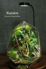 Terrarium 268 - KAIZEN
