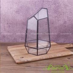 Lục Giác Nắp - TT Đa Giác