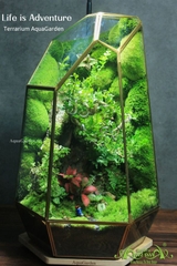 Terrarium 320 - Life is Adventure