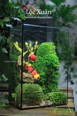 Terrarium 20 - Lộc Xuân