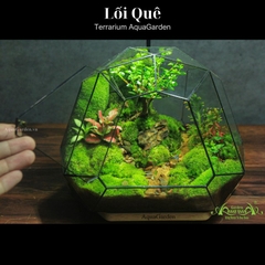 Terrarium 318 - Lối Quê