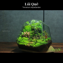 Terrarium 318 - Lối Quê