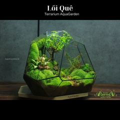 Terrarium 318 - Lối Quê