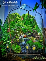 Terrarium 339 -  Lost in Fairytale