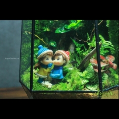 Terrarium 105 - The Garden Words