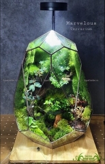 Terrarium 252 - Cottage Dream - Marvelous