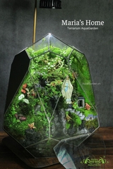 Terrarium 295 - Maria's Home