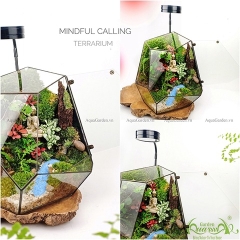 Terrarium 91 - Natural Spirit - Mindful Calling