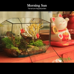 Terrarium 14 - Morning Sun