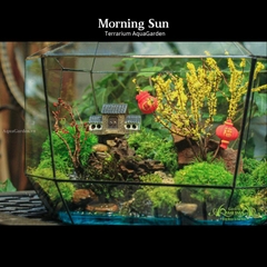 Terrarium 14 - Morning Sun