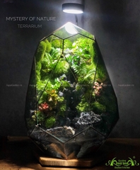 Terrarium 217 - Mystery of Nature