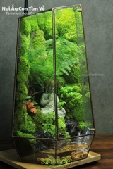 Terrarium 278 - Nơi Ấy Con Tìm Về