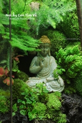 Terrarium 278 - Nơi Ấy Con Tìm Về