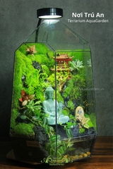 Terrarium 311 - Nơi Trú An