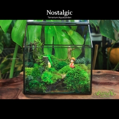 Terrarium 18 - Nostalgic