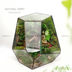 Terrarium 243 - Natural Spirit