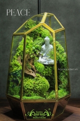 Terrarium 307 - Peace