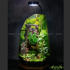 Terrarium 254 - Junglexis