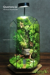 Terrarium 329 - Querencia