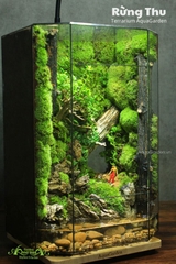 Terrarium 281 - Rừng Thu