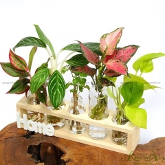 Set Mini 12 - HOME Bộ 5