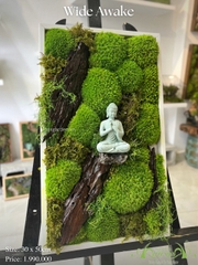 Terrarium 30 - Wide Awake