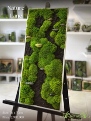 Terrarium 31 - Nature Land