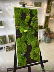 Terrarium 31 - Nature Land
