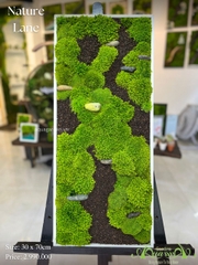Terrarium 31 - Nature Land