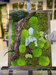 Terrarium 33 - Vahadra Mudra