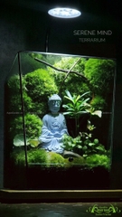 Terrarium 227 - Serene Mind