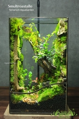 Terrarium 330 - Smultroastalle