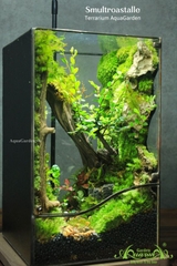 Terrarium 330 - Smultroastalle