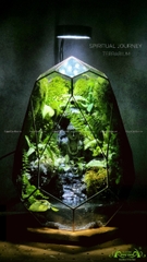 Terrarium 222 - Spiritual Journey