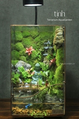 Terrarium 279 - Tịnh