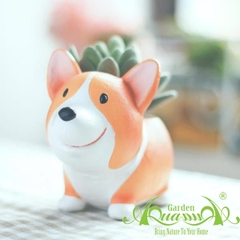 Thú CORGI  - Gốm AquaGarden