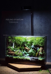 Terrarium 219 - Feeling of Nature