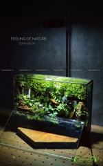 Terrarium 219 - Feeling of Nature