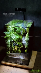 Terrarium 212 - Suối Thác Mơ