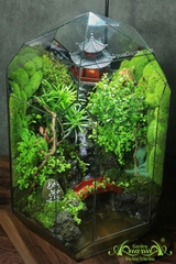 Terrarium 293 - Serenity