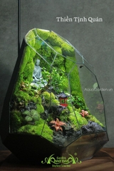 Terrarium 310 - Thiền Tịnh Quán