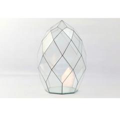 Thủy Tinh 24 - TT Đa Giác