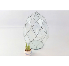 Thủy Tinh 24 - TT Đa Giác