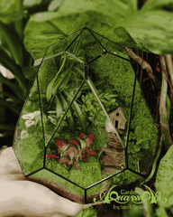 Terrarium 346 - Hometown